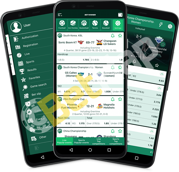 Discover the Best Features of Betwinner Discover the Best Features of Betwinner