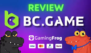 Understanding the BC Game App Login Process