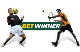 Exploring the BetWinner Gaming Platform